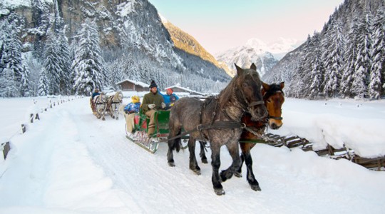 Mit dem Pferdeschlitten durch ein Winterwunderland